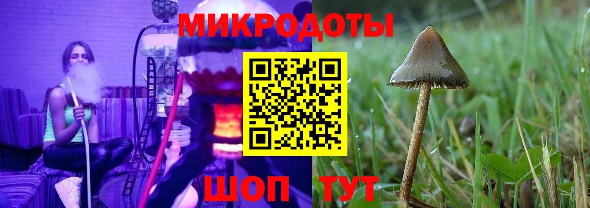 Псилоцибиновые грибы мухоморы Наро-Фоминск